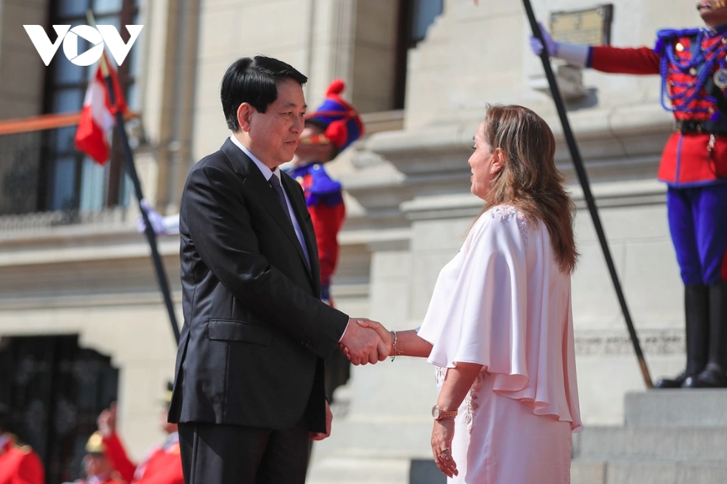 welcome ceremony held for vietnamese state president in peru picture 2