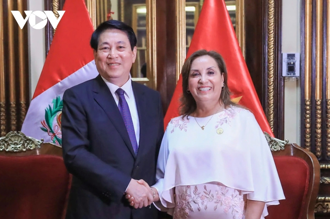 Welcome ceremony held for Vietnamese State President in Peru