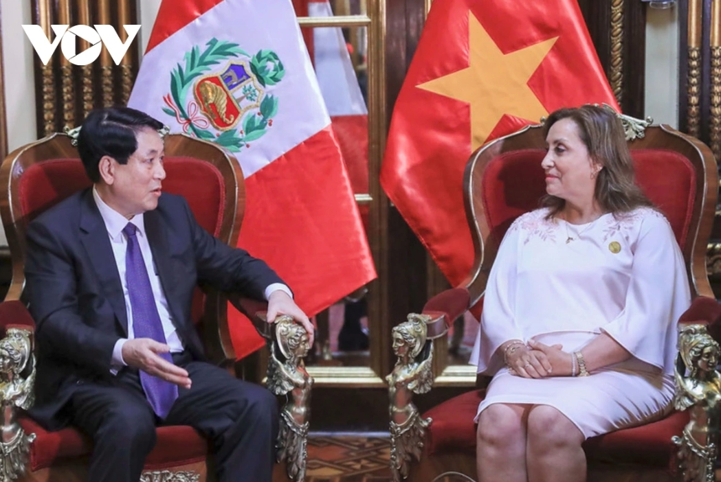 welcome ceremony held for vietnamese state president in peru picture 4