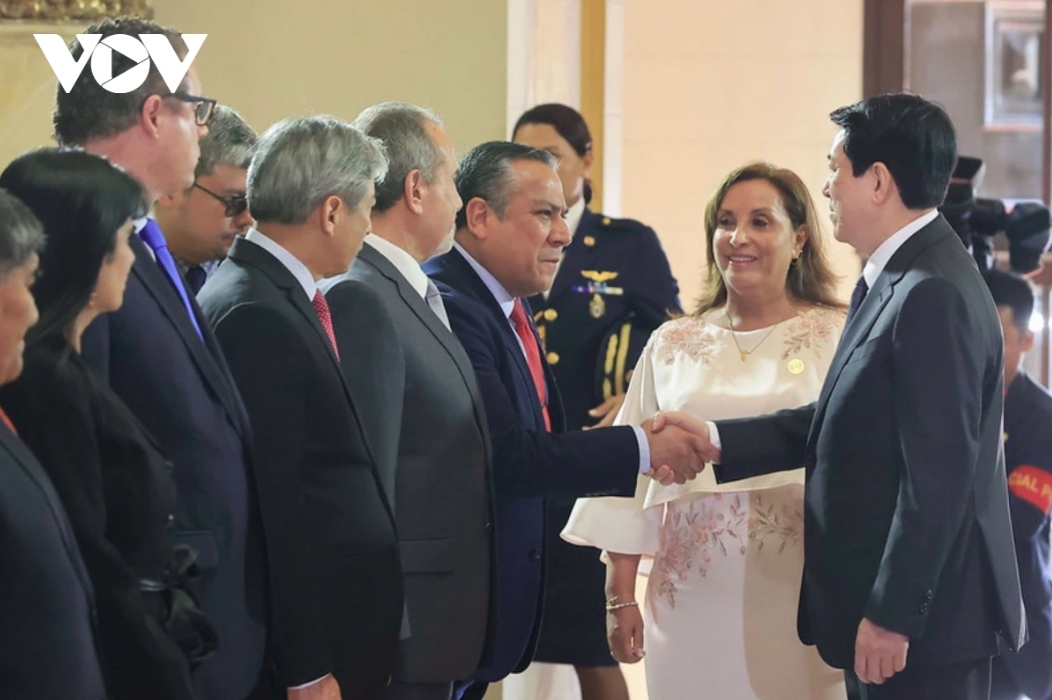 welcome ceremony held for vietnamese state president in peru picture 5