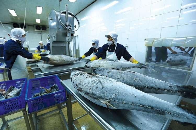 tuna exports to japan jump in october picture 1