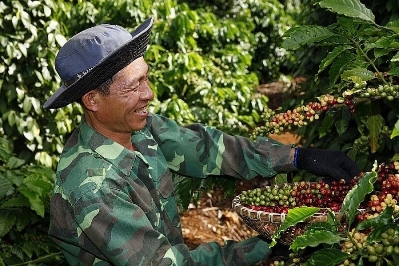 coffee brings in highest export earnings on record picture 1