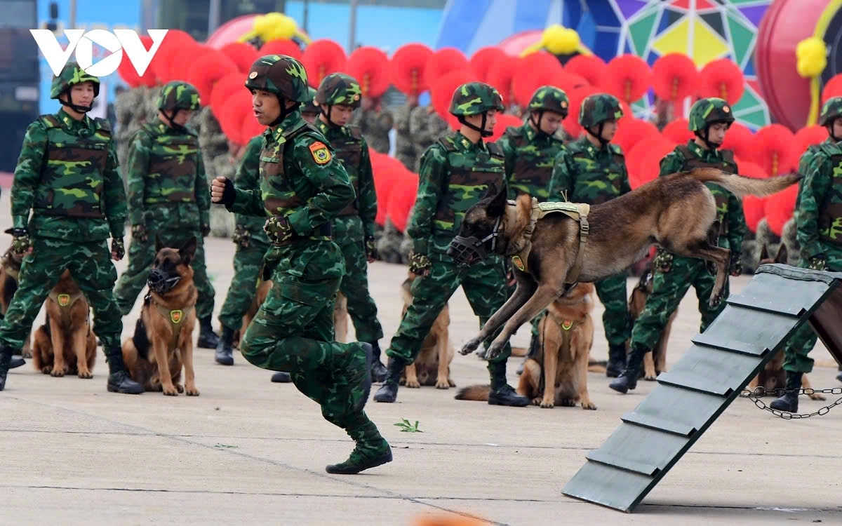 final rehearsal for vietnam international defense expo 2024 picture 10 final rehearsal for vietnam international defense expo 2024 picture 10