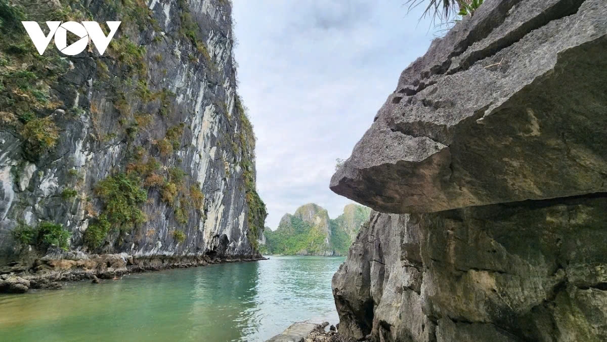 ha long bay 30 years of having earned unesco title picture 10 ha long bay 30 years of having earned unesco title picture 10