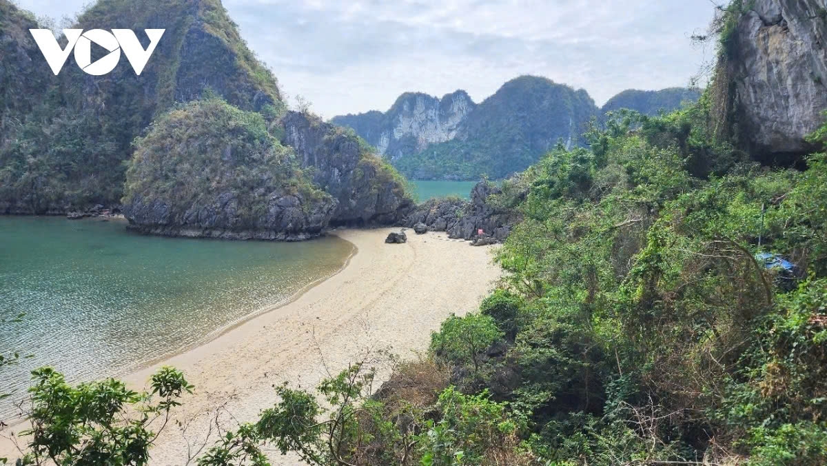 ha long bay 30 years of having earned unesco title picture 11 ha long bay 30 years of having earned unesco title picture 11