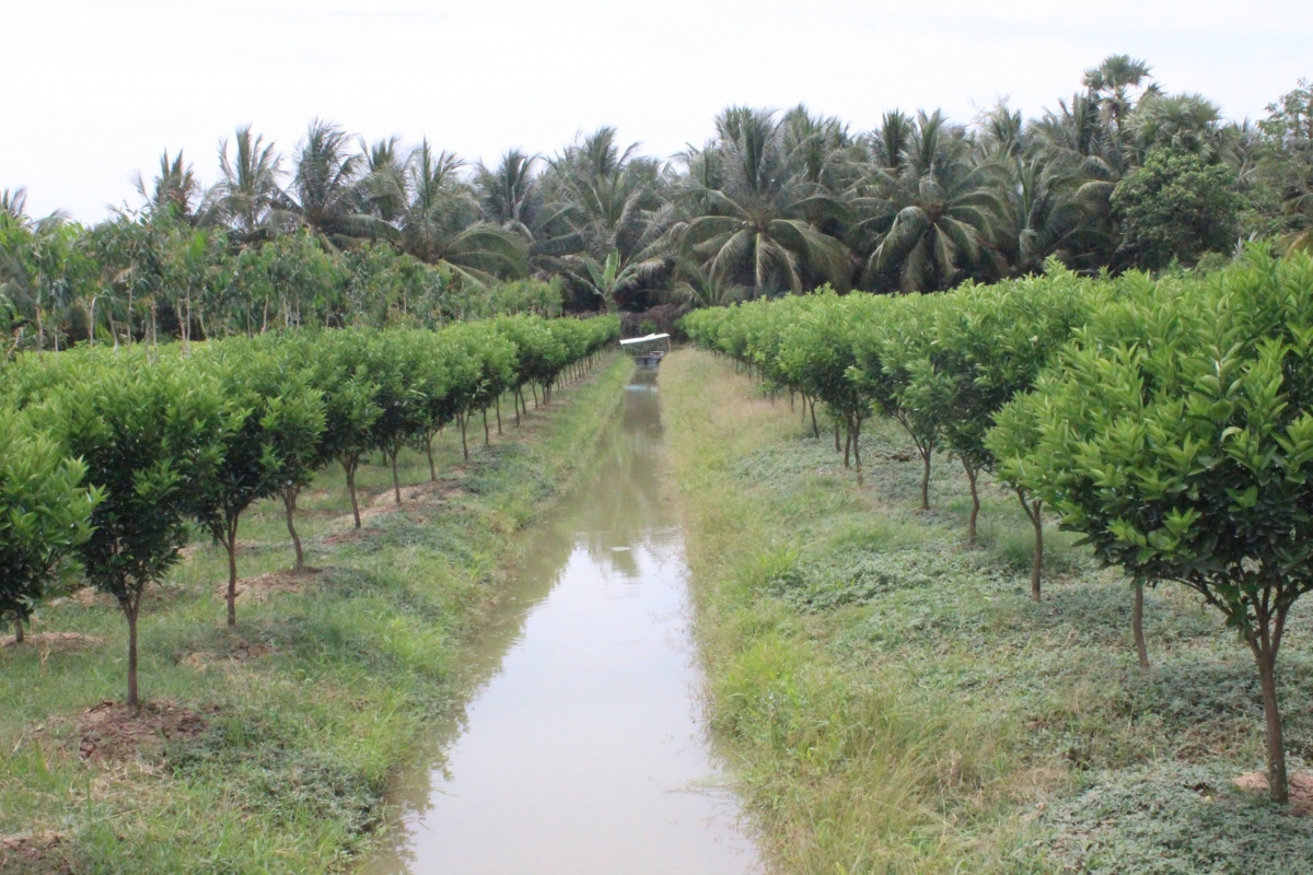 vĩnh long khẩn trương sắp xếp sở ngành tinh gọn và hiệu quả hình ảnh 3 vinh long khan truong sap xep so nganh tinh gon va hieu qua hinh anh 3