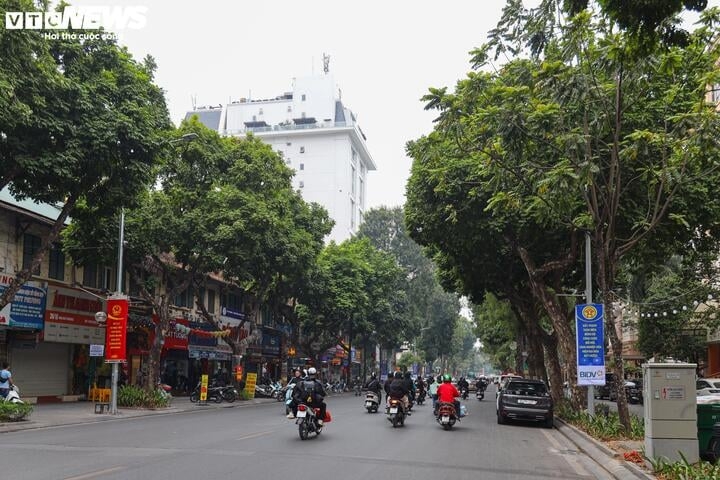 bang gia dat ha noi can canh nhung tuyen pho dat nhat, gan 700 trieu dong m2 hinh anh 12