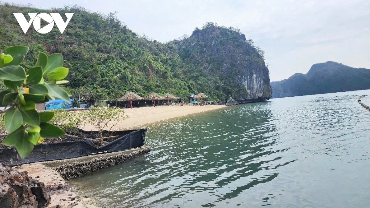 ha long bay 30 years of having earned unesco title picture 12 ha long bay 30 years of having earned unesco title picture 12