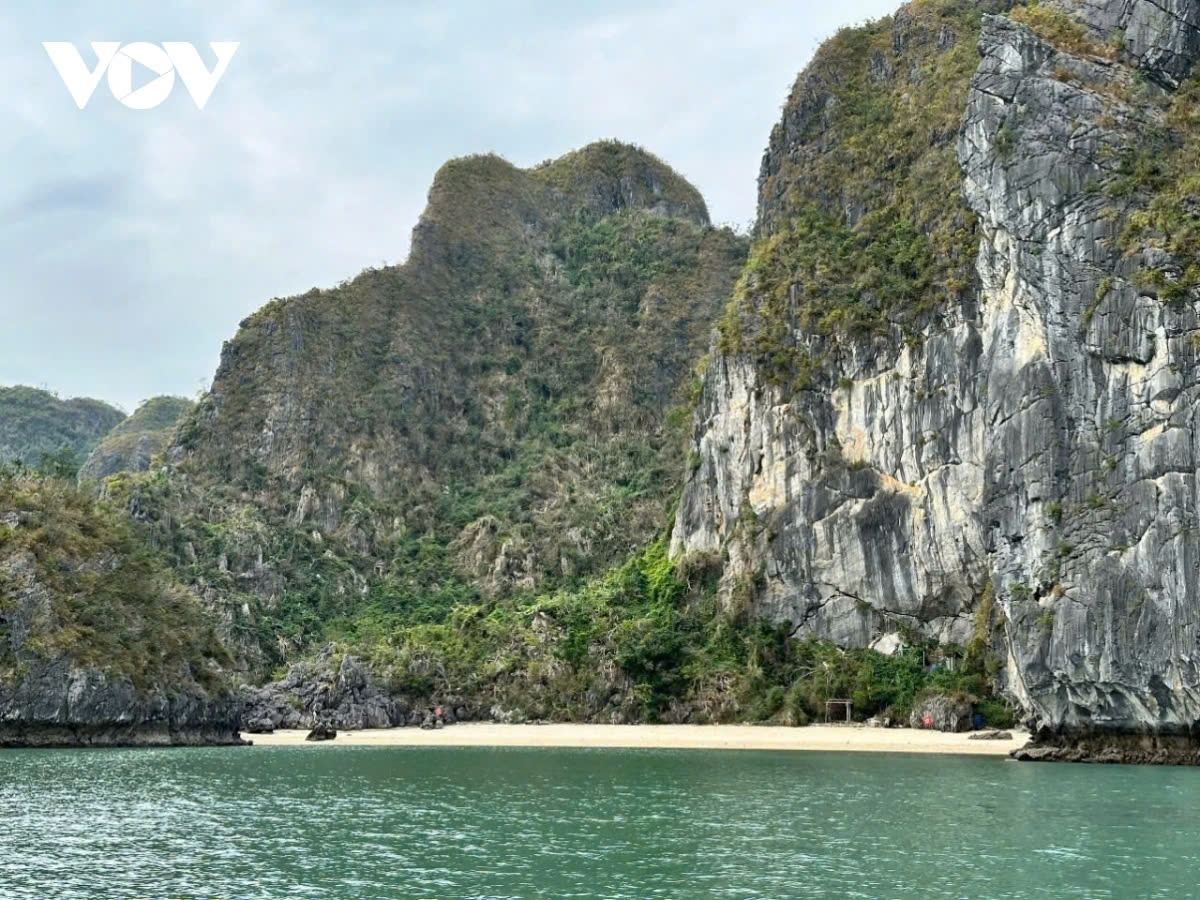 ha long bay 30 years of having earned unesco title picture 13 ha long bay 30 years of having earned unesco title picture 13