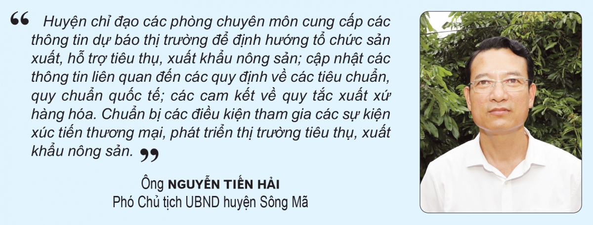 san xuat, che bien, xuat khau nong san o song ma hinh anh 3