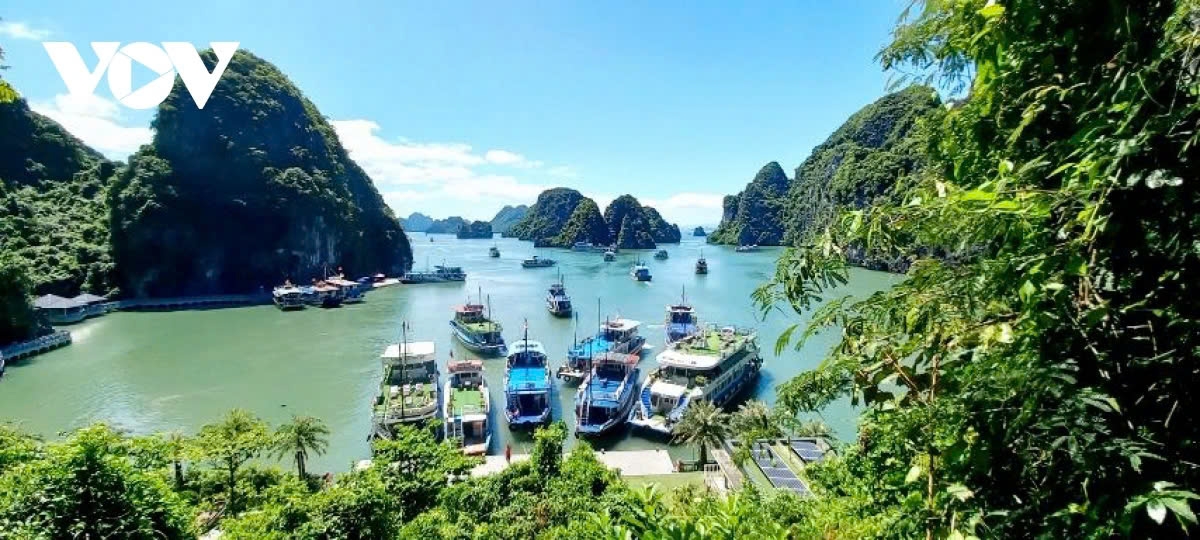 ha long bay 30 years of having earned unesco title picture 2 ha long bay 30 years of having earned unesco title picture 2