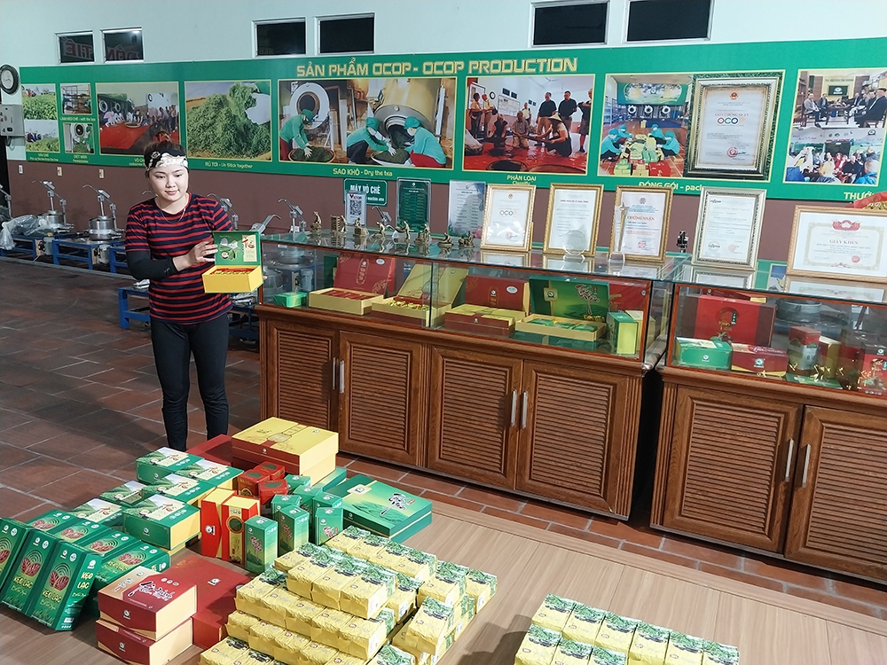 Tăng cường bảo vệ thương hiệu chè Tân Cương