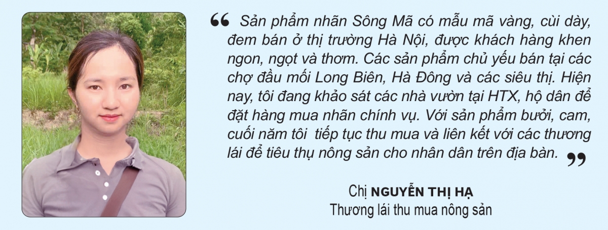 san xuat, che bien, xuat khau nong san o song ma hinh anh 6