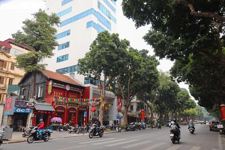 bang gia dat ha noi can canh nhung tuyen pho dat nhat, gan 700 trieu dong m2 hinh anh 8