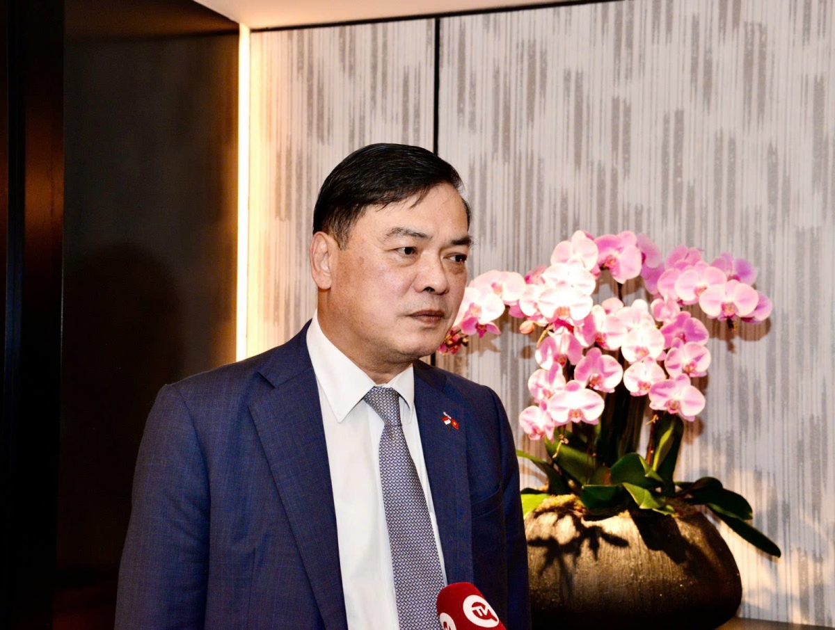 Dinh hinh nhung hop tac moi giua viet nam voi singapore va nhat ban hinh anh 1