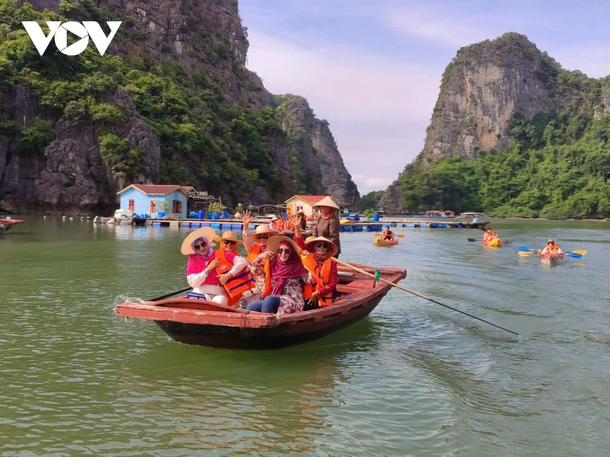 ha long bay 30 years of having earned unesco title picture 8 ha long bay 30 years of having earned unesco title picture 8