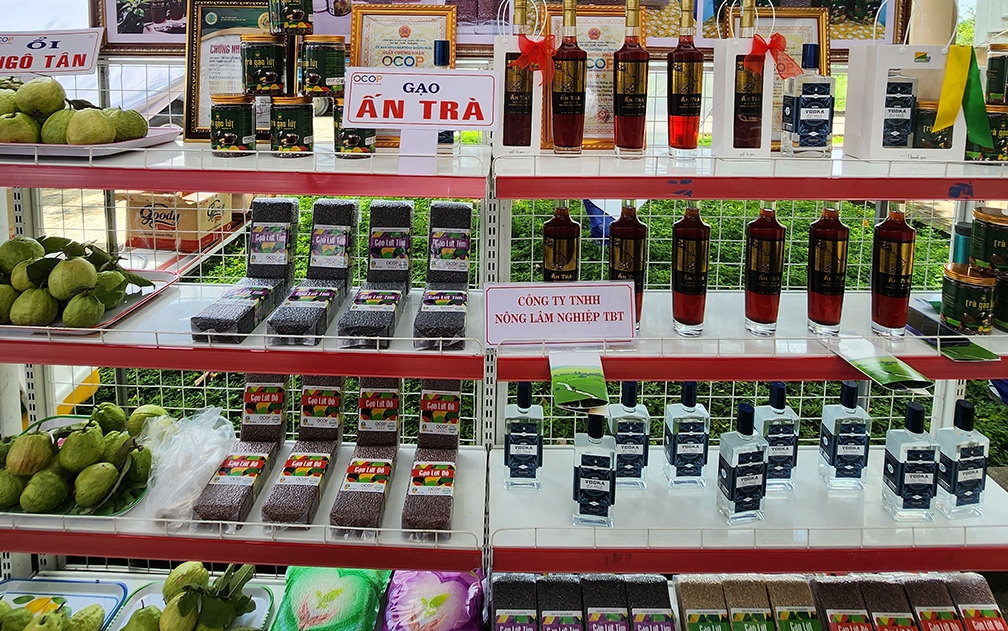nâng cao chất lượng, hiệu quả hoạt động của các htx ở quảng ngãi hình ảnh 2 nang cao chat luong, hieu qua hoat dong cua cac htx o quang ngai hinh anh 2