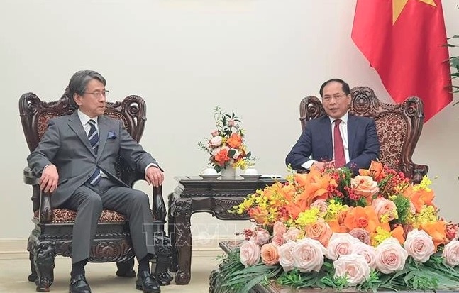 Vietnam, Japan collaborate to drive energy transition