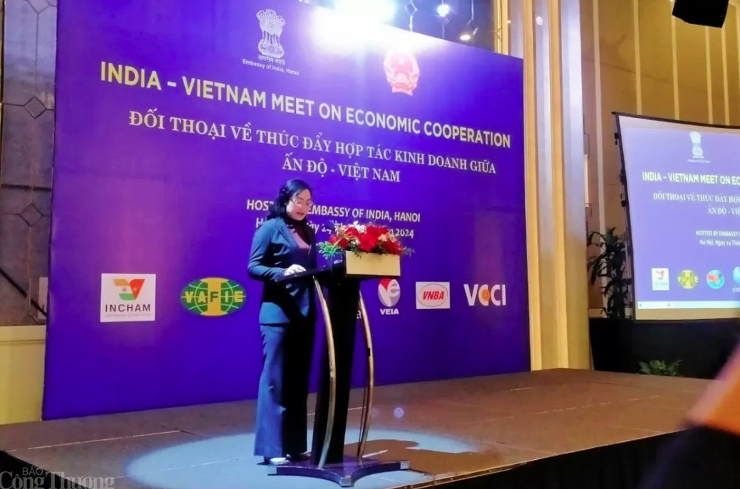 vietnam-india bilateral trade likely to exceed us 15 billion this year picture 1