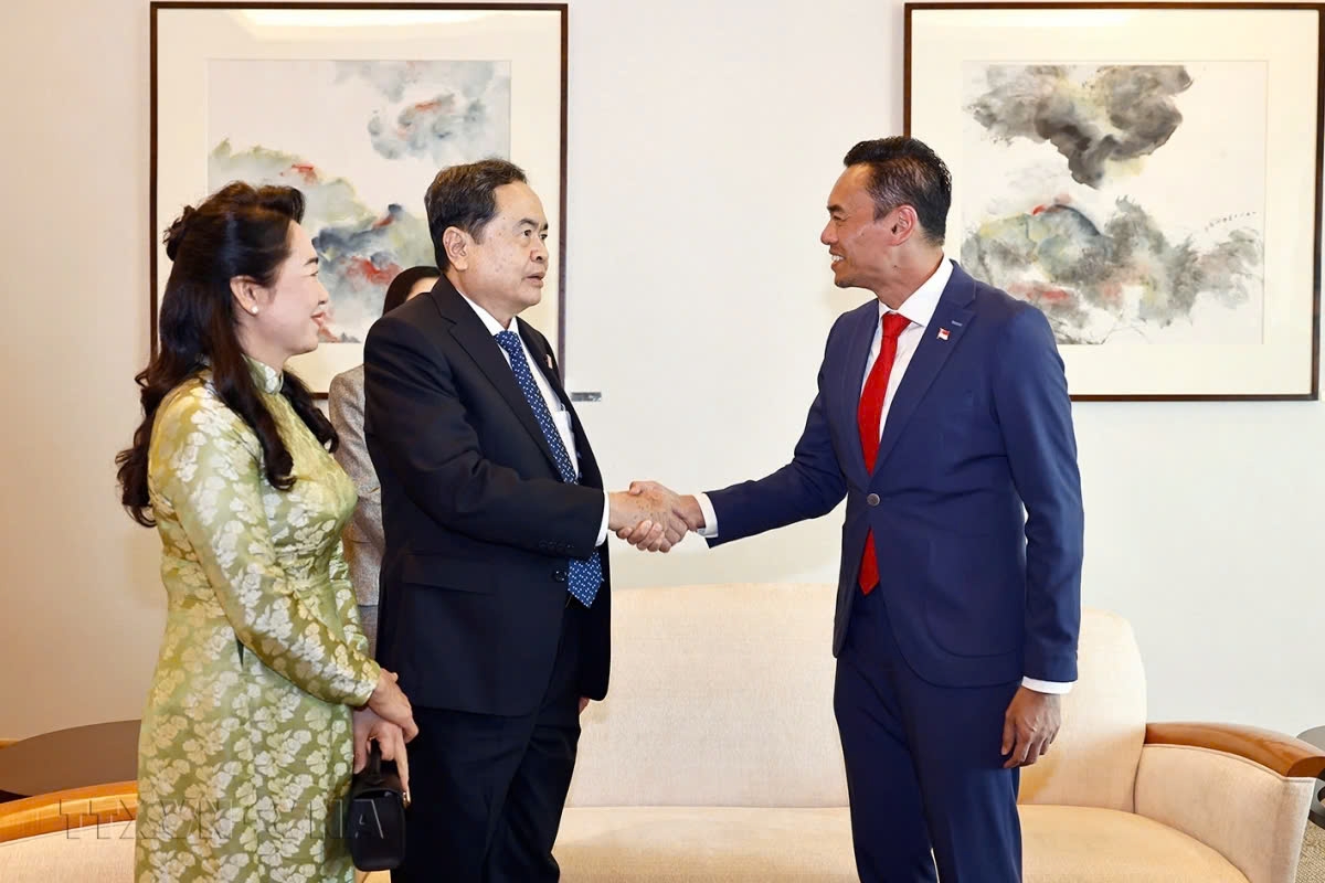 top legislator tran thanh man arrives in singapore for official visit picture 1