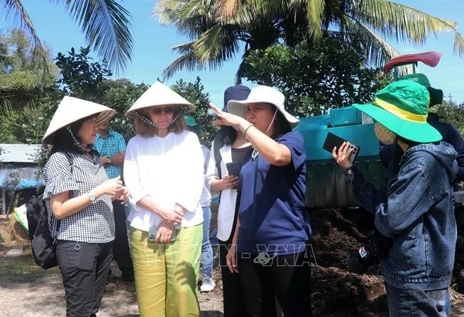 canadian delegation explores low-emission, high-quality rice farming model in can tho picture 1