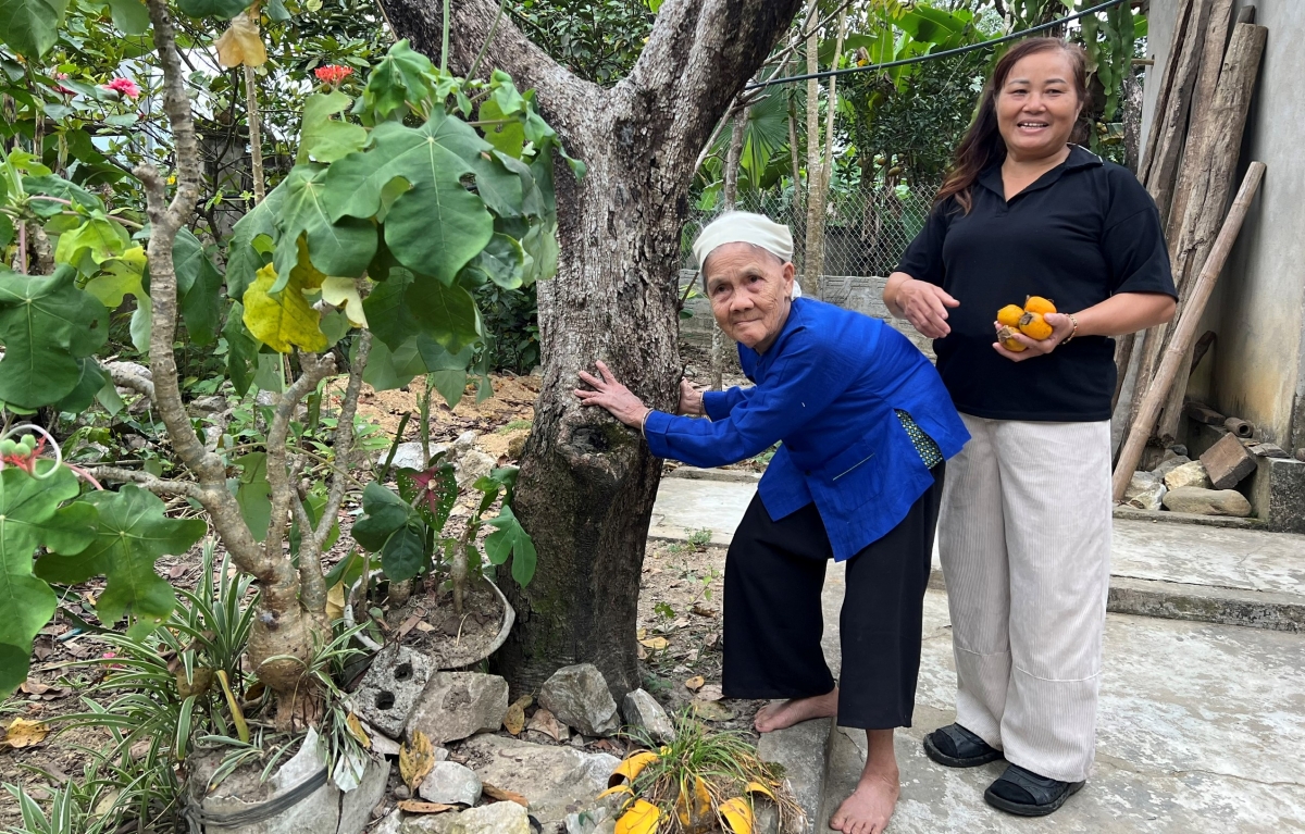 tiec nuoi hong gion luc yen hinh anh 1