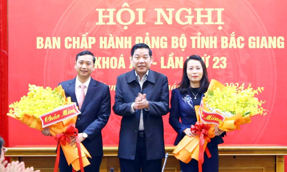 bac giang bau pho bi thu tinh uy, chu tich hDnd, chu tich tinh hinh anh 1