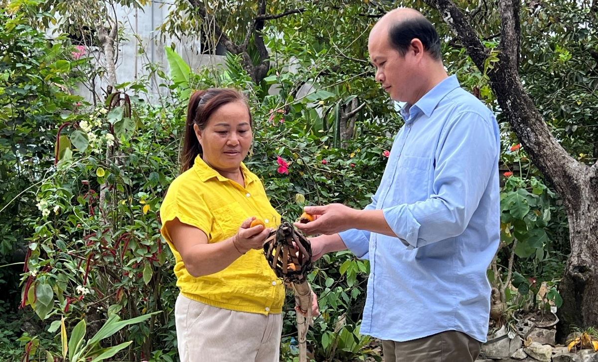 tiec nuoi hong gion luc yen hinh anh 3