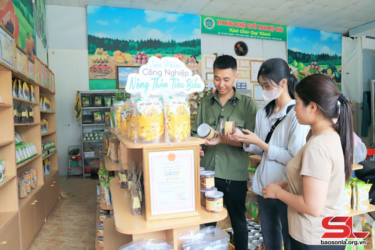 hop tac xa tieu bieu tren cao nguyen moc chau hinh anh 1