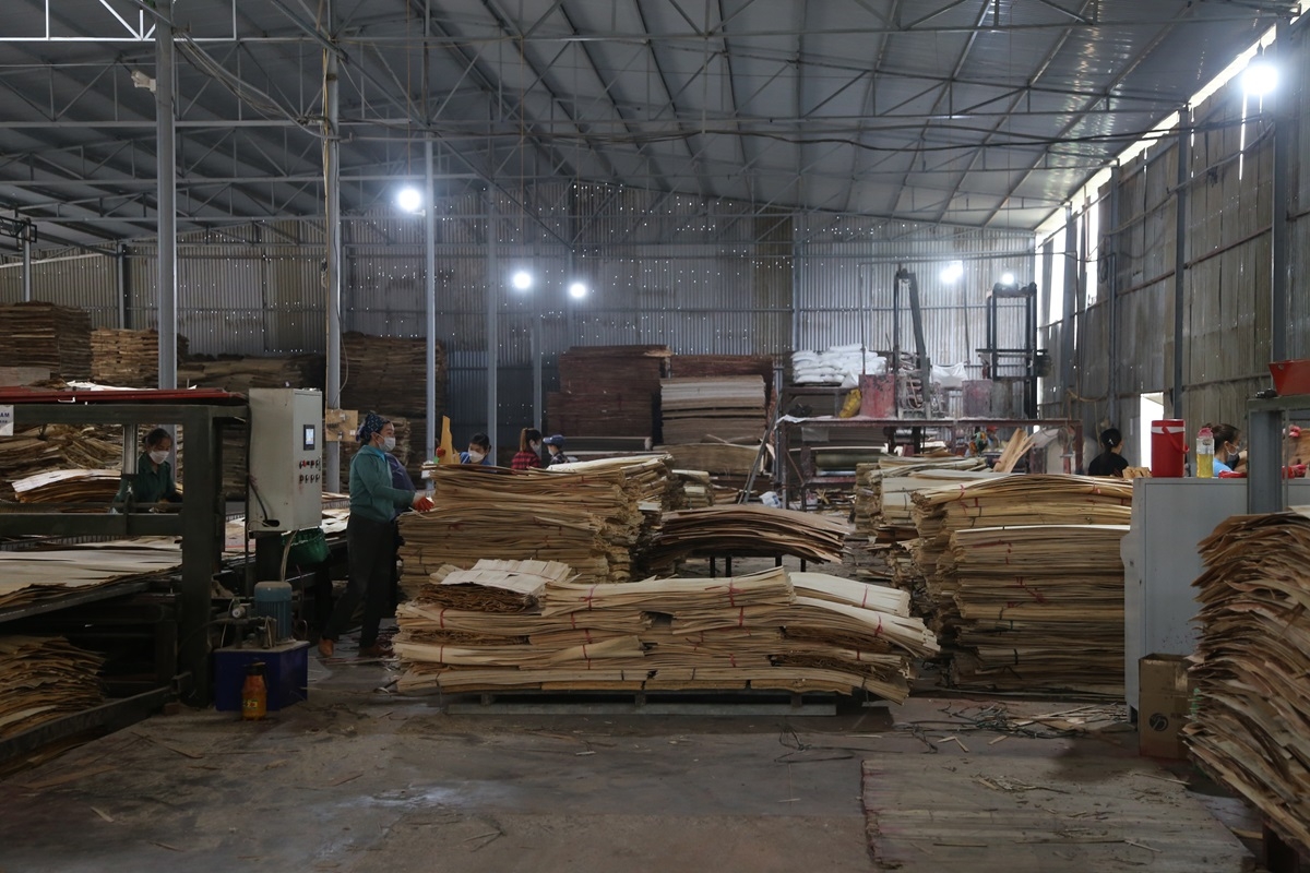 Ngành công nghiệp chế biến gỗ ở Bắc Kạn tăng trưởng khá nhưng vẫn thiếu bền vững