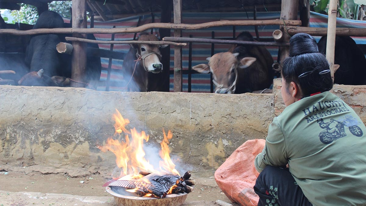 son la phong chong doi, ret cho dau co nghiep hinh anh 4