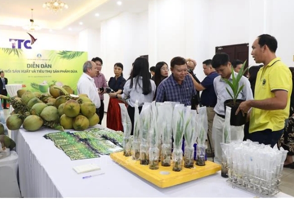 Vietnamese coconut becomes high-value export