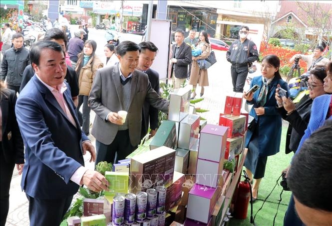 Specialty street launched in Lam Dong province