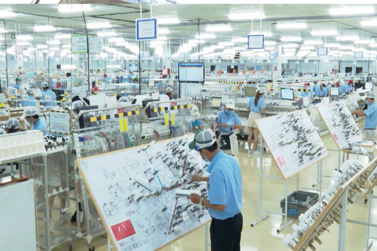 vĩnh long khẩn trương sắp xếp sở ngành tinh gọn và hiệu quả hình ảnh 2 vinh long khan truong sap xep so nganh tinh gon va hieu qua hinh anh 2