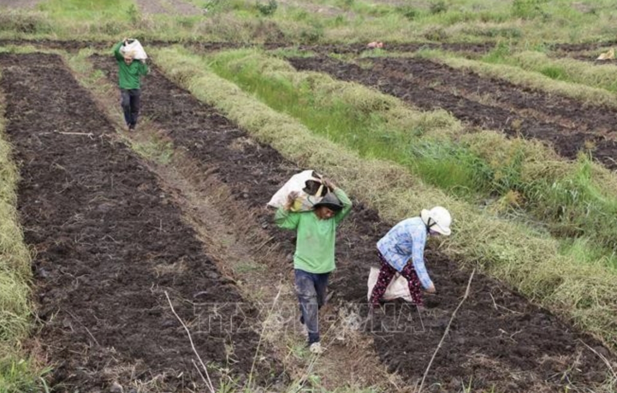 vietnam should tap domestic market for economic growth insiders picture 1