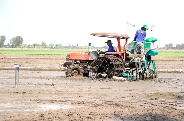 vietnam aims to reduce greenhouse gas emissions in agriculture production picture 1