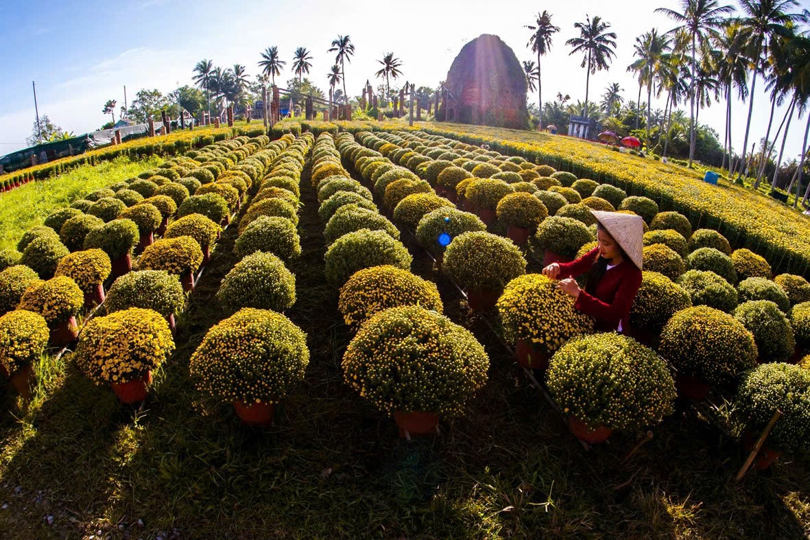 ben tre le hoi hoa kieng cho lach nen tang de phat trien du lich nong nghiep hinh anh 2