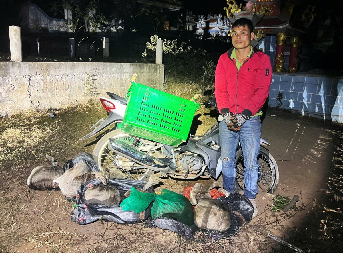bắt quả tang thanh niên vận chuyển trái phép 6 con tê tê ở quảng trị hình ảnh 1 bat qua tang thanh nien van chuyen trai phep 6 con te te o quang tri hinh anh 1