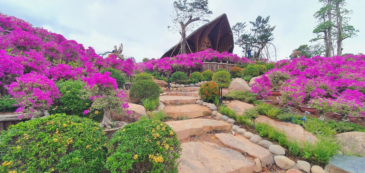 the peak phu quoc kiet tac nghe thuat giua long Dao ngoc hinh anh 4