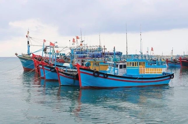 binh thuan steps up efforts to tackle iuu fishing picture 1