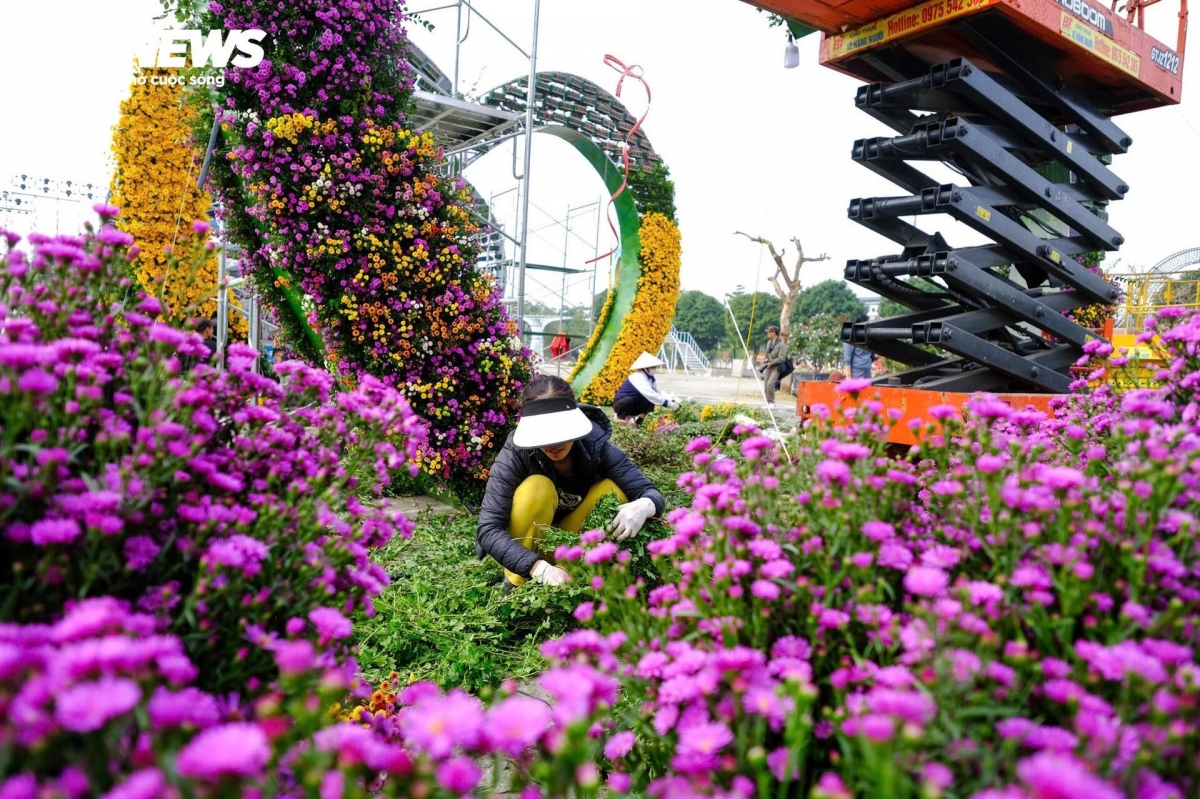 hanoi village ready for largest flower festival in northern vietnam picture 2