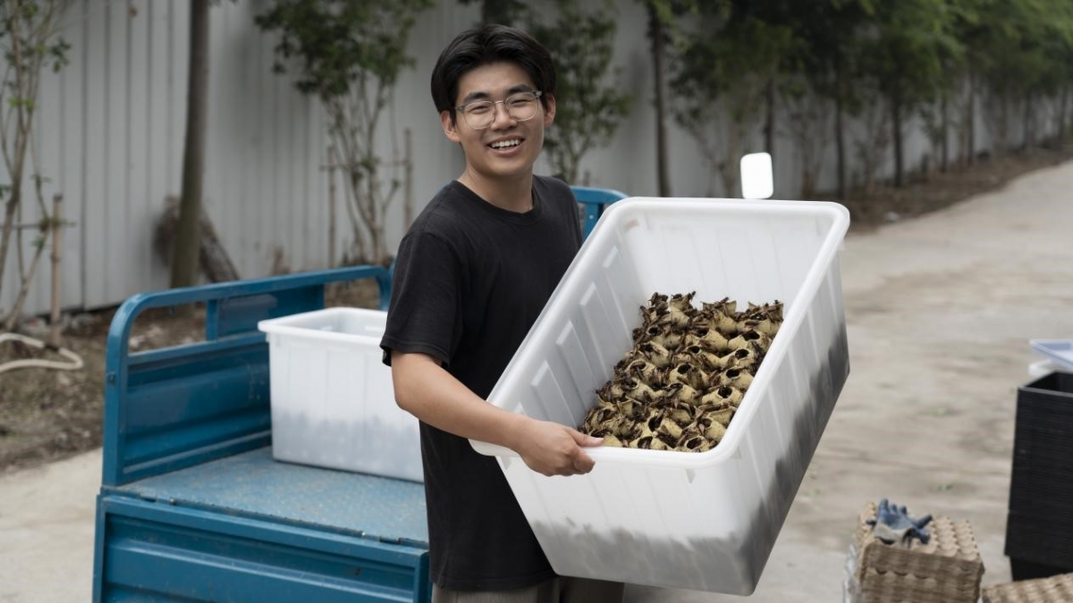 vì sao nhiều người trẻ trung quốc bỏ phố về quê hình ảnh 2 vi sao nhieu nguoi tre trung quoc bo pho ve que hinh anh 2