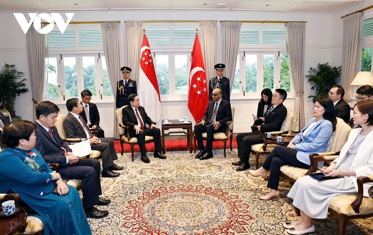 top legislator tran thanh man meets singapore president tharman shanmugaratnam picture 1 top legislator tran thanh man meets singapore president tharman shanmugaratnam picture 1