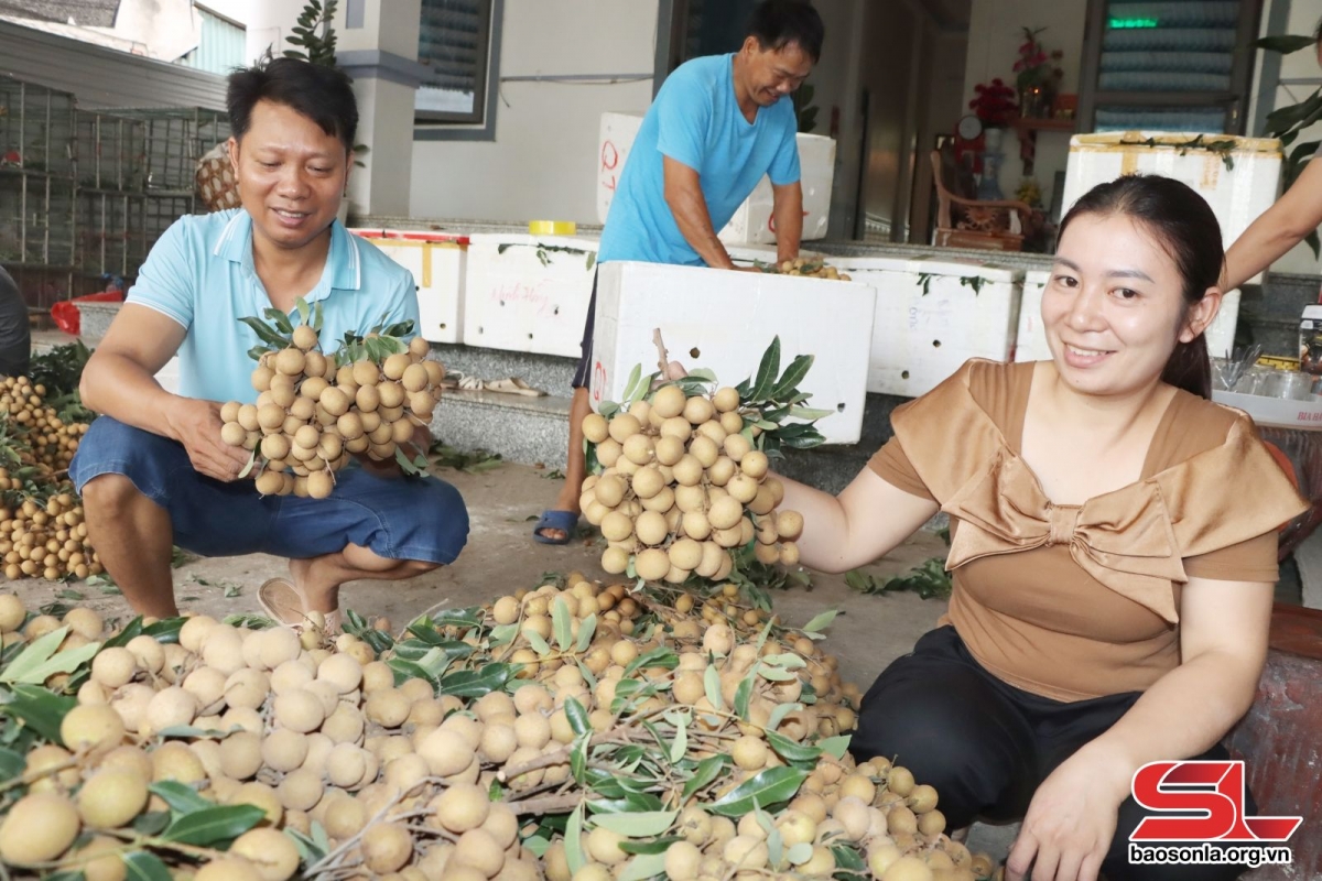 san xuat, che bien, xuat khau nong san o song ma hinh anh 1