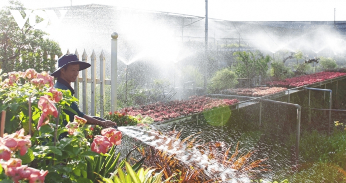 dazzling spring colours emerge in sa dec flower village picture 1