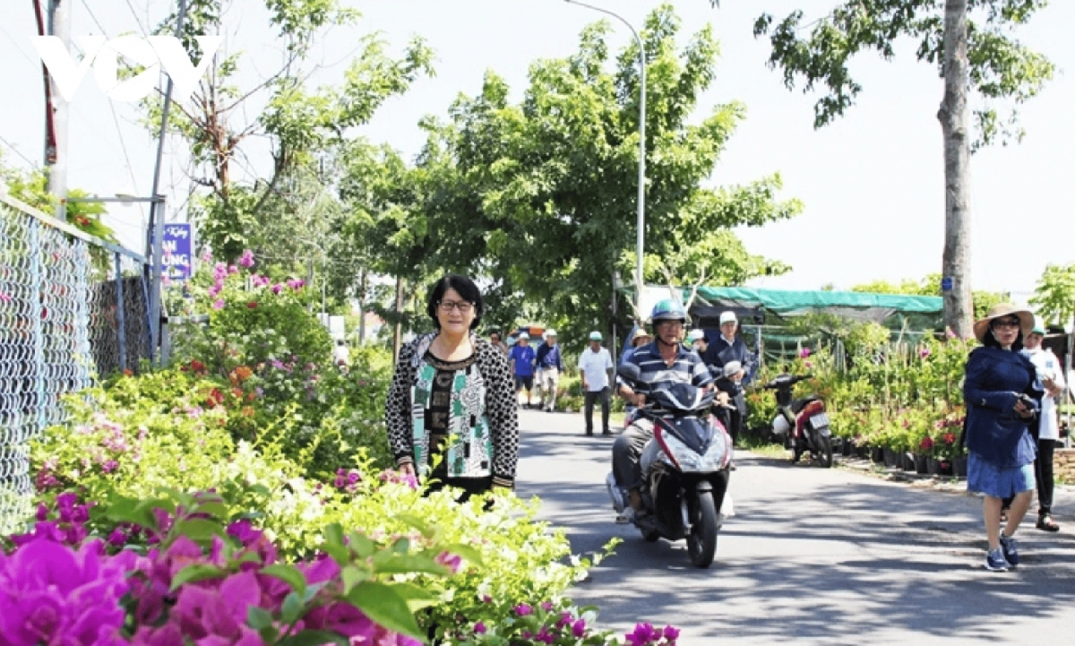 dazzling spring colours emerge in sa dec flower village picture 6