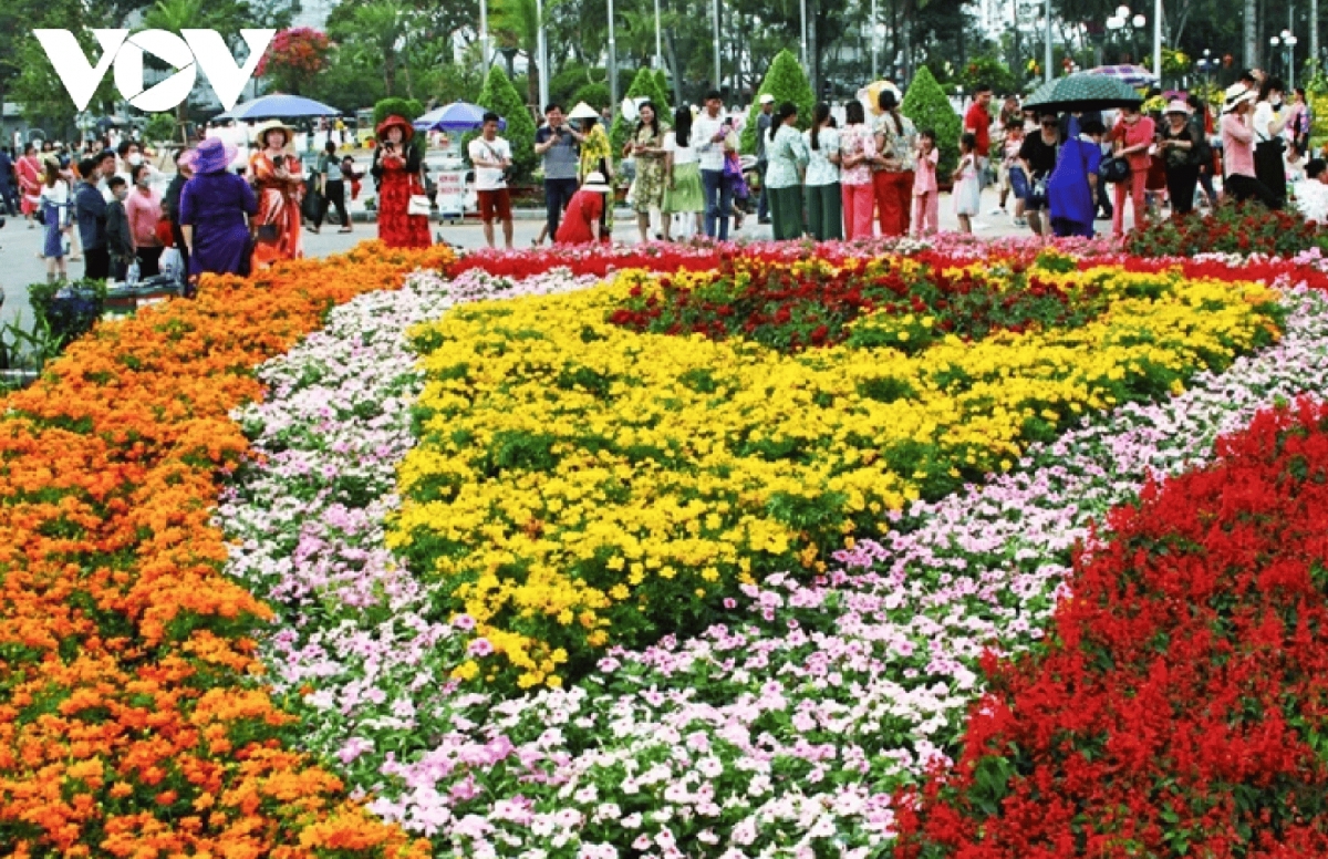 dazzling spring colours emerge in sa dec flower village picture 10