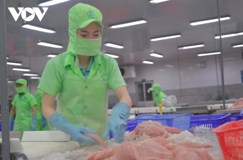 pangasius exports to fulfil us 2 billion target this year picture 1