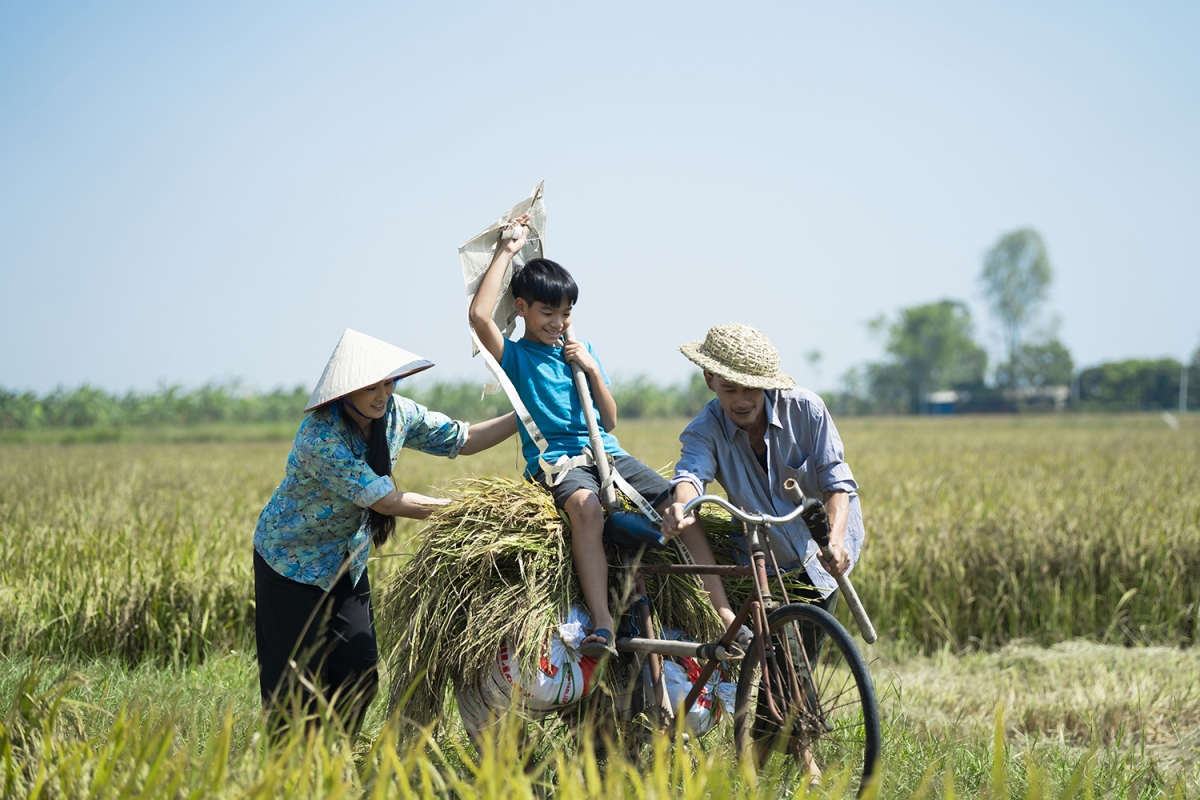 ca si le vinh toan tri an que huong nghe an qua phim ca nhac mien nho hinh anh 3