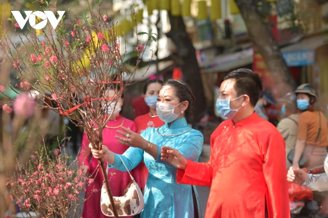 hanoi gears up to open 70 spring flower markets ahead of tet picture 1